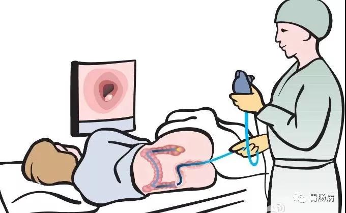 “胃”你好嗎？“腸”來看看！