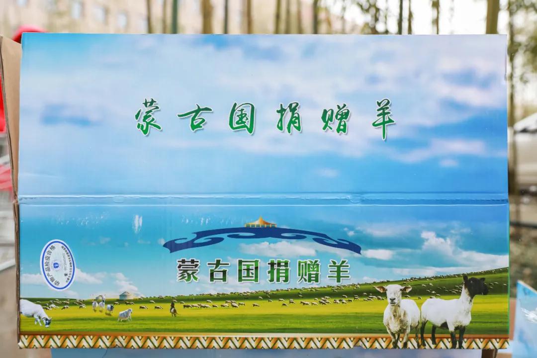 援鄂醫(yī)療隊：“暖羊羊”來啦！