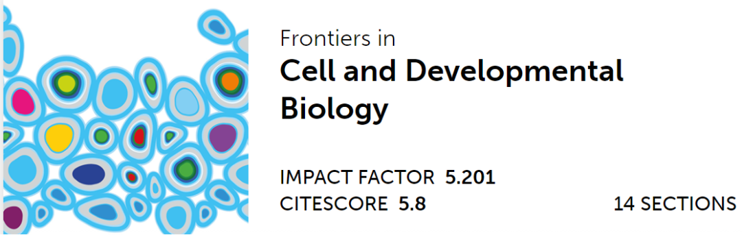 心臟病醫(yī)院王海昌院長(zhǎng)科研團(tuán)隊(duì)在心肌病研究領(lǐng)域有新突破！