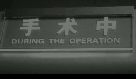 他們的無(wú)助和慌張 我替你們都見(jiàn)過(guò)