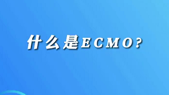 【名醫(yī)面對面之心臟100問】什么是ECMO？