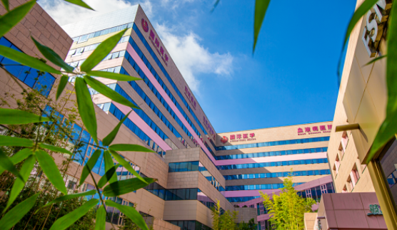 國醫(yī)四味：竹林、紫杉、桂花、銀杏，還有那……