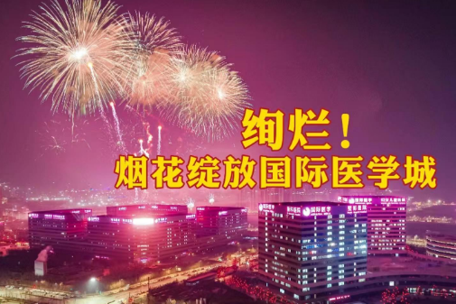 絢爛！煙花綻放國際醫(yī)學(xué)城